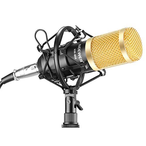 Micrófono Profesional NW-800 de Neewer