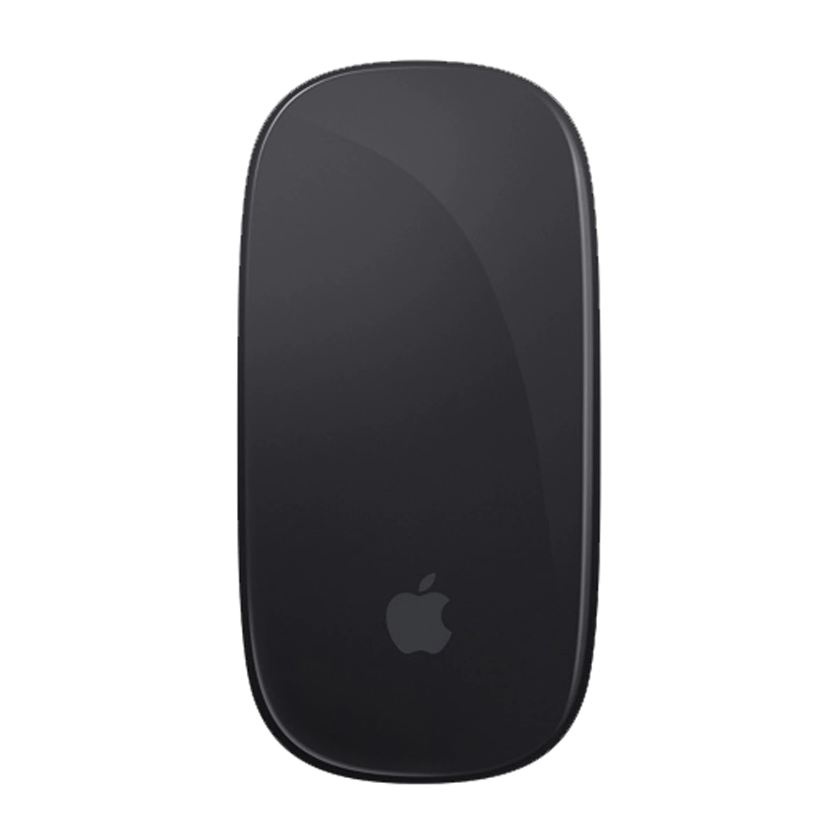 Ratón inalámbrico Apple Magic Mouse 2 Gris espacial
